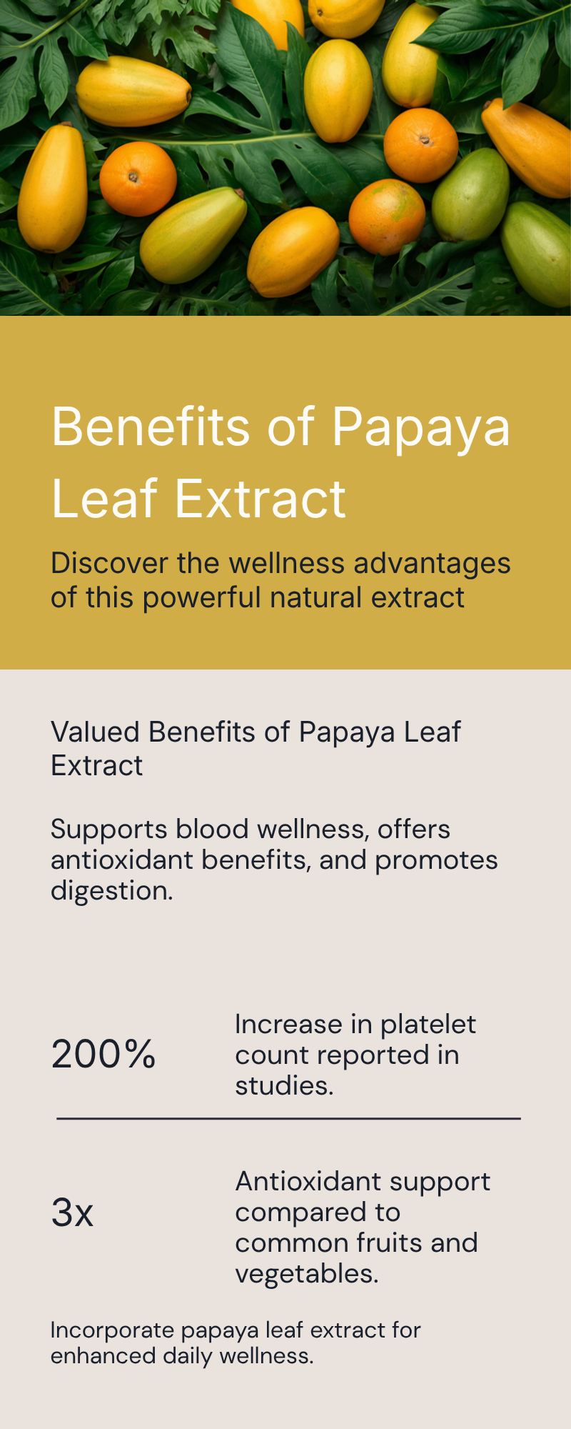 Benefits of papaya leaf extract infographic — what it is, benefits, key compounds, how to take it, and safety