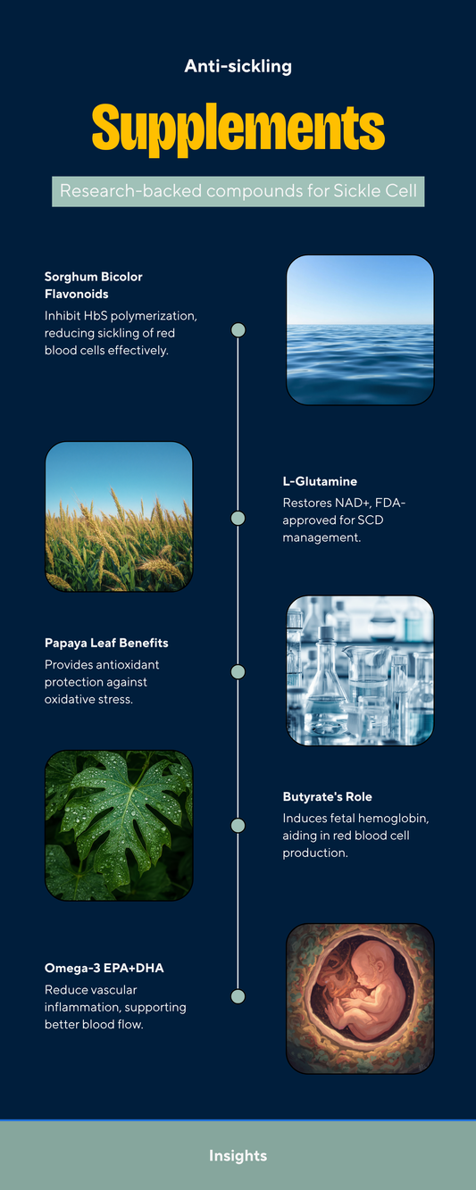 Anti-sickling supplements for sickle cell disease — sorghum bicolor, papaya leaf, omega-3, L-glutamine, butyrate mechanisms