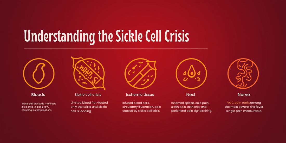 Understanding the sickle cell crisis — biology of vaso-occlusive crisis infographic