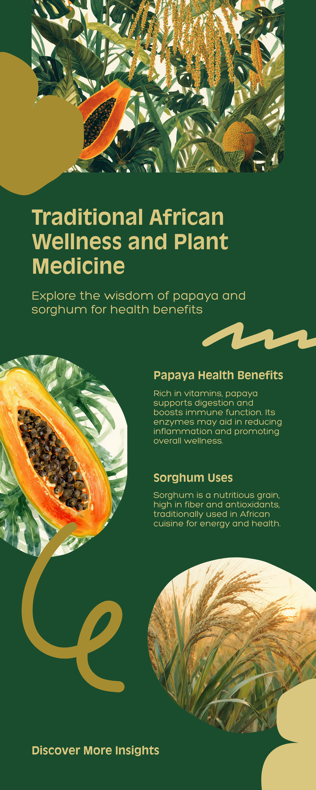 Papaya leaf and sorghum bicolor botanical infographic showing traditional African plant medicine and wellness