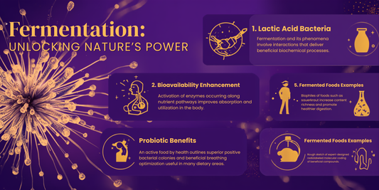 What is fermentation infographic — lactic acid bacteria, bioavailability enhancement and probiotic benefits