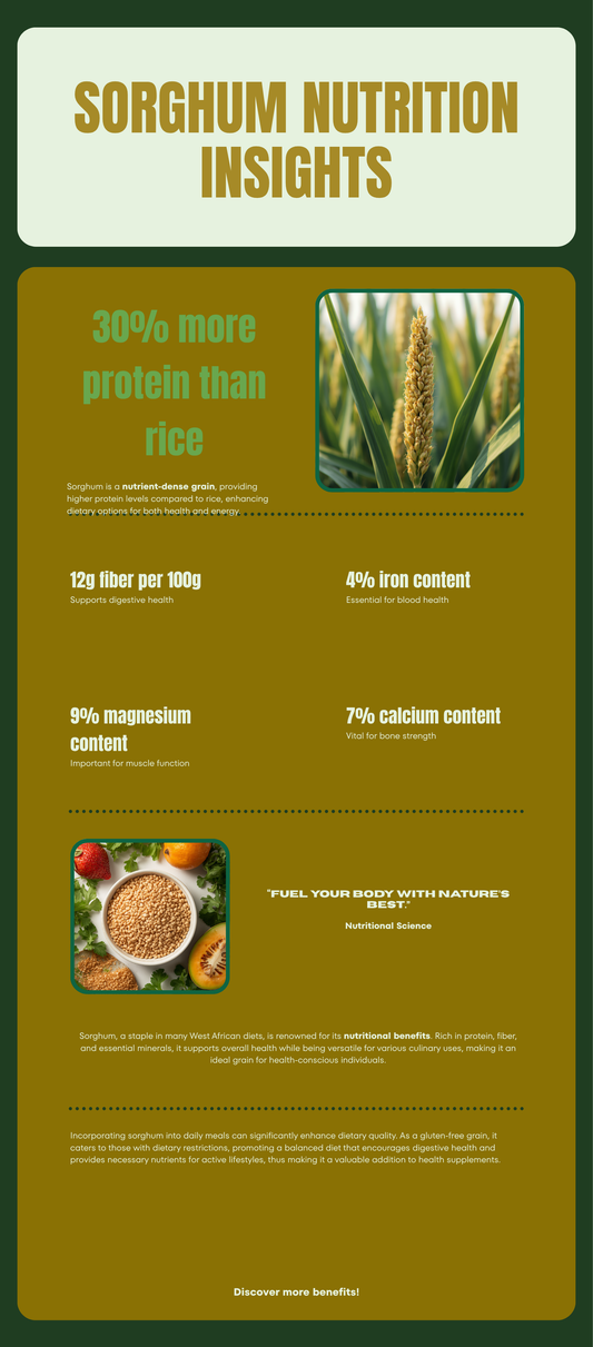 Sorghum bicolor botanical infographic showing antisickling properties and nutritional benefits