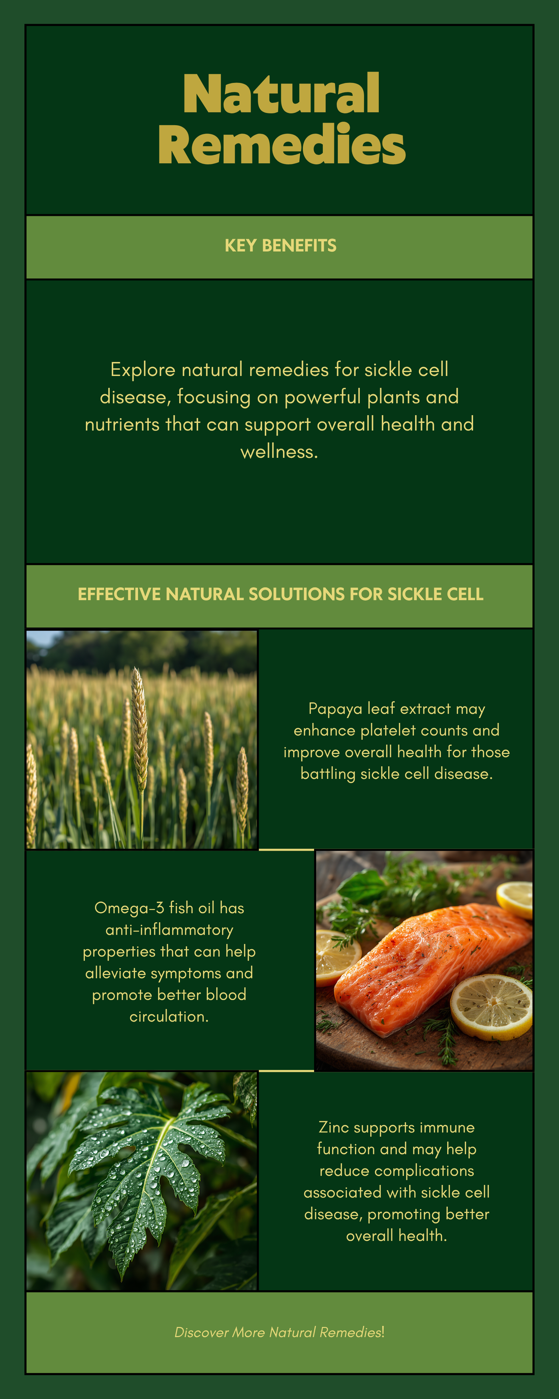Natural remedies for sickle cell disease infographic — sorghum bicolor papaya leaf omega-3 zinc folate vitamin D