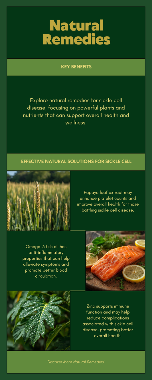Natural remedies for sickle cell disease infographic — sorghum bicolor papaya leaf omega-3 zinc folate vitamin D