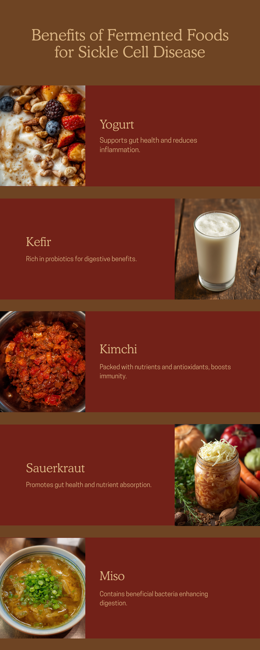 Fermented Foods and Sickle Cell Disease infographic — yogurt kefir kimchi sauerkraut miso tempeh benefits